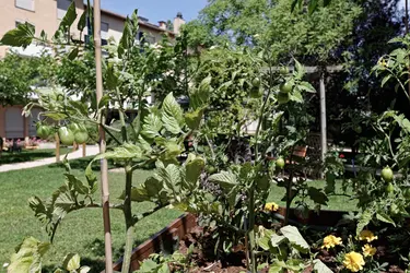 maison de retraite la favorite potager