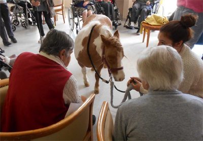 Les Lavandines rencontre