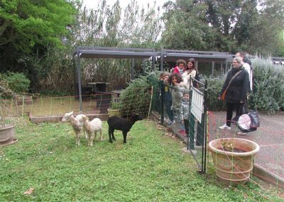 Les Berges du canal mouton