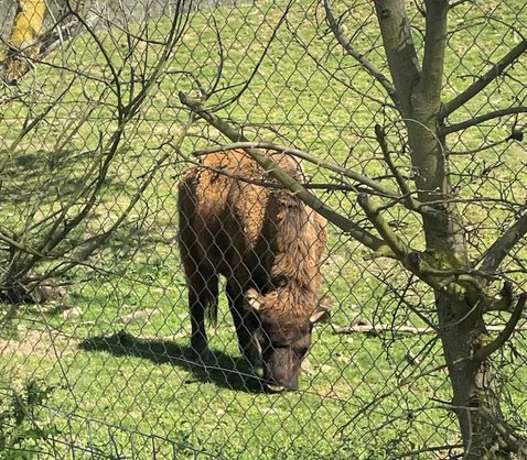 Orpea quai des brumes zoo