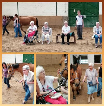 orpea les jardins du lac equitherapie