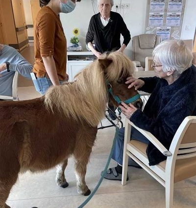 résidence de l'isle equitherapie