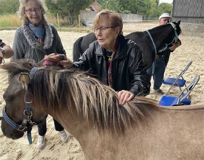 résidence de l'isle equitherapie