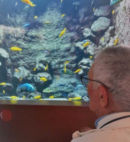 emeis les tamaris aquarium