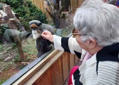 orpea l'emeraude zoo