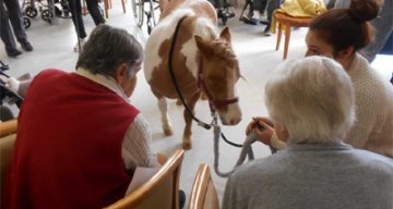 Les Lavandines rencontre