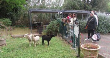 Les Berges du canal mouton